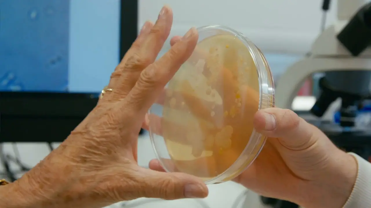 BBC - The Truth About: Antibiotics (2019)