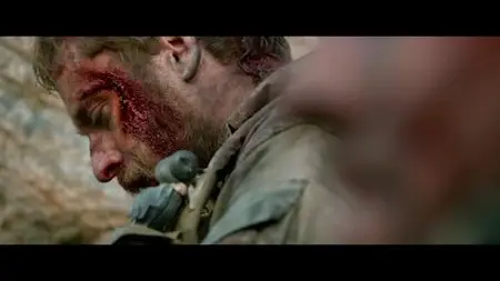 Lone Survivor (2013)
