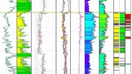 Petrel Well Log Analytics: Petrophysical Calculations Guide