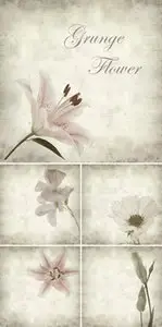 Stock Photo - Grunge Flower