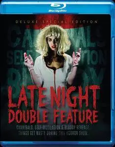 Late Night Double Feature (2016)