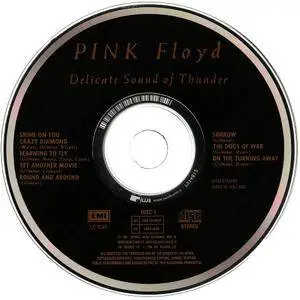 Pink Floyd - Delicate Sound Of Thunder (1988) [UK 2nd Issue] 2CD