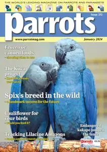 Parrots - January 2024