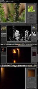 Fundamentals of Lightroom II: Editing and Post Processing (HD)