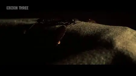 High: Confessions of an Ibiza Drug Mule S01E04