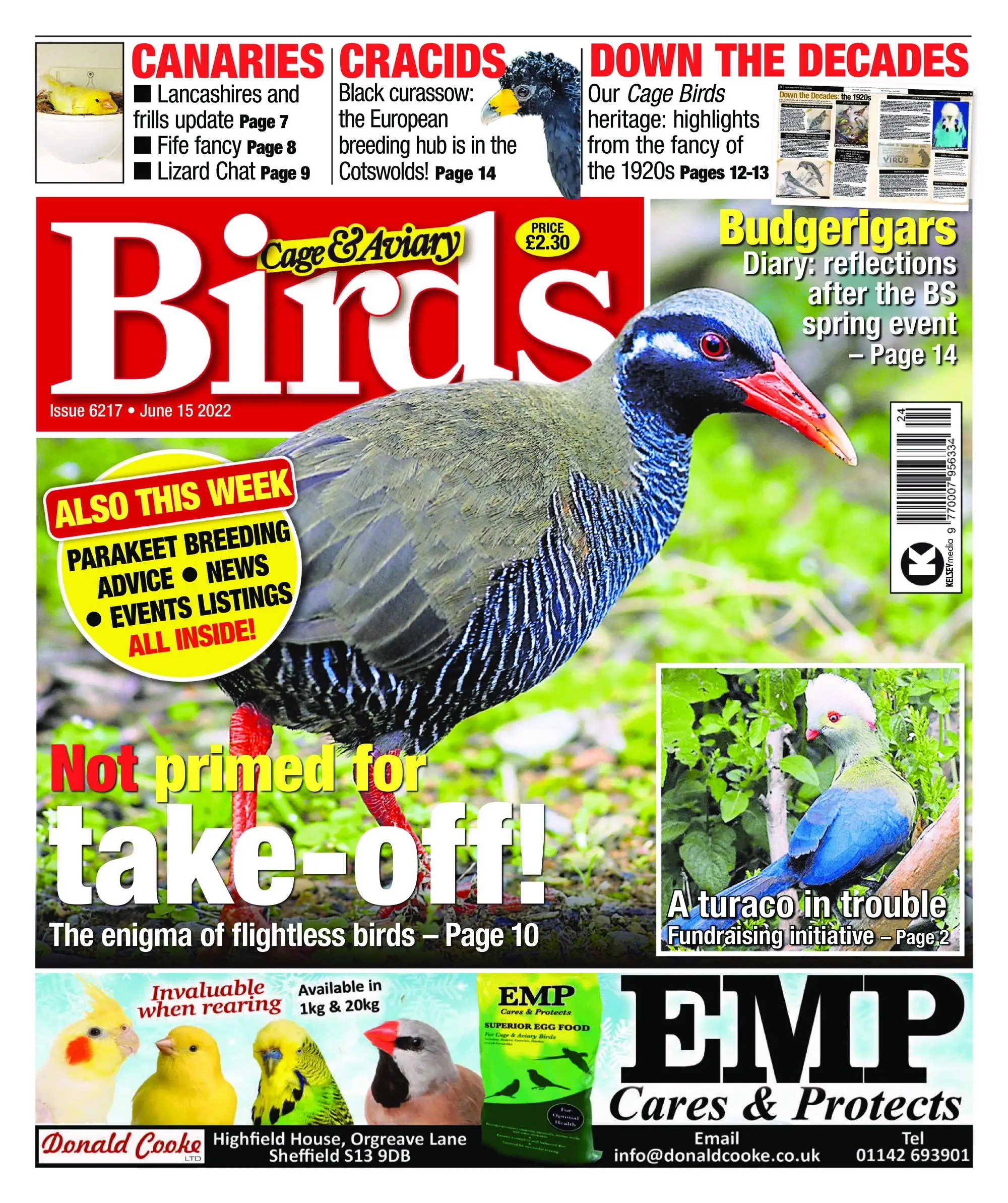 Cage & Aviary Birds – 15 June 2022