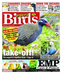 Cage & Aviary Birds – 15 June 2022