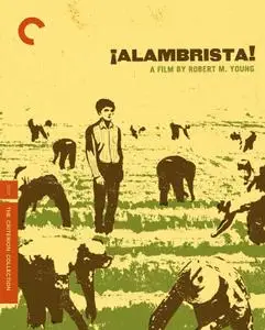 Alambrista! (1977) + Extras [The Criterion Collection]