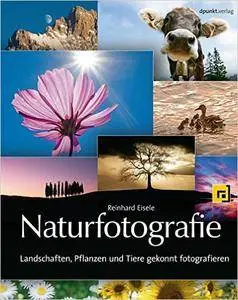 Naturfotografie: Landschaften, Pflanzen und Tiere gekonnt fotografieren