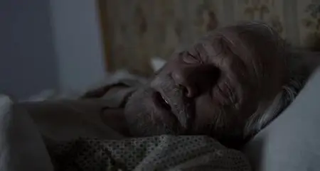 Boven is het stil / It's All So Quiet (2013)