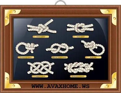 Vector Graphic - Knots