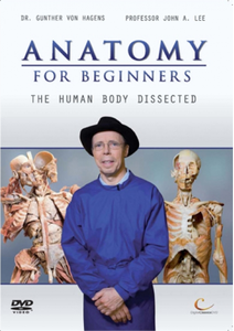 Anatomy for Beginners: 1-4 episodes (2005)