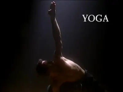 Cameron Shayne - Budokon DVD Set (2007)