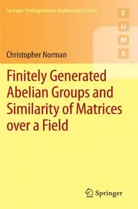 Finitely Generated Abelian Groups and Similarity of Matrices over a Field (repost)