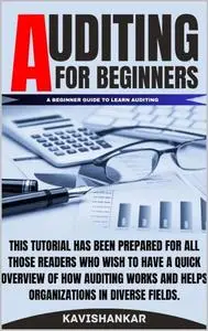 Auditing For Beginners: A Beginner Guide to learn Auditing, How To Start An Auditing For Beginners