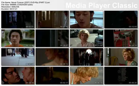 Never Forever (2007)