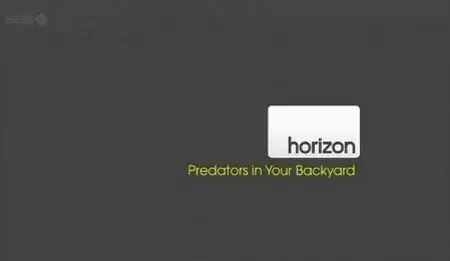 BBC - Horizon: Predators in Your Backyard (2011)