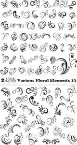 Vectors - Various Floral Elements 13