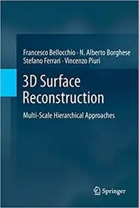 3D Surface Reconstruction: Multi-Scale Hierarchical Approaches