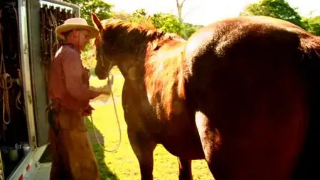 BBC Storyville - Buck: The Real Horse Whisperer (2013)