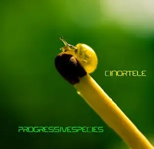Cinortele - ProgressiveSpecies