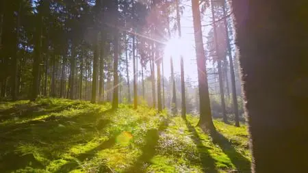 Absurd Planet S01E03