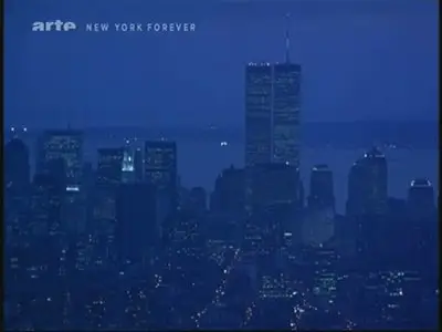 (Arte) Histoire de New York (2011)