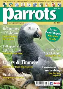 Parrots - May 2020