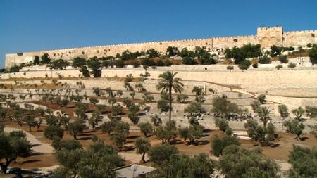 Magical Israel: A Journey Through 5000 Years of History (2010)