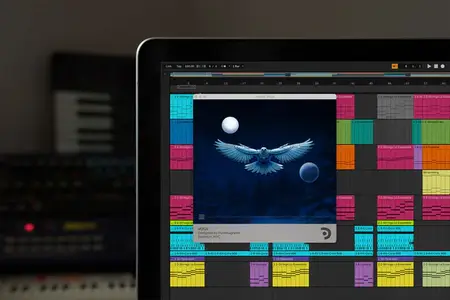 Puremagnetik Voga v1.0.1 WiN macOS