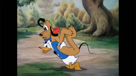 Donald's Dog Laundry (1940)