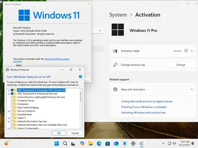 Windows 11 Pro 24H2 Build 26100.4349 (No TPM Required) Preactivated Multilingual June 2025