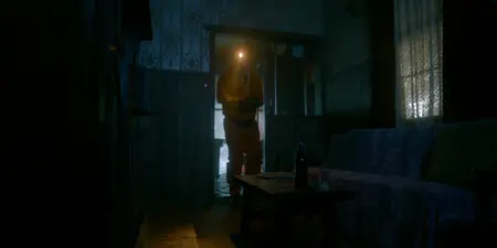 Brothers' Nest (2018)