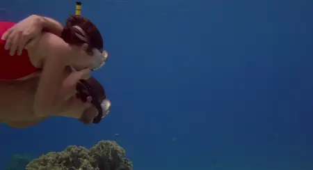 Against All Odds (1984)