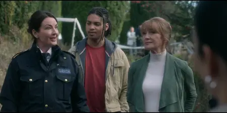 Harry Wild S04E06