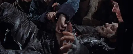 Dance of the Vampires / The Fearless Vampire Killers (1967)
