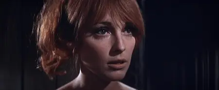 Dance of the Vampires / The Fearless Vampire Killers (1967)