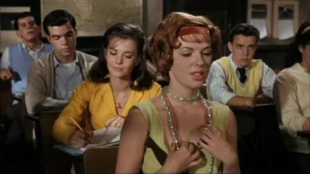 Splendor in the Grass (1961) [Open Matte]
