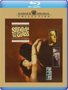 Splendor in the Grass (1961) [Open Matte]