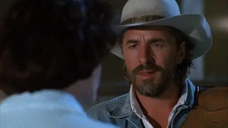 Harley Davidson and the Marlboro Man (1991)