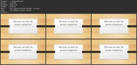 Certification Gestion De Projet : Devenir Un Chef De Projet