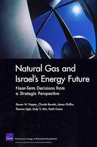 Natural Gas and Israel's Energy Future: Near-Term Decisions from a Strategic Perspective