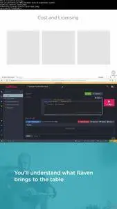 RavenDB 4: Getting Started