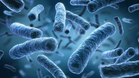 Legionella Awareness Training