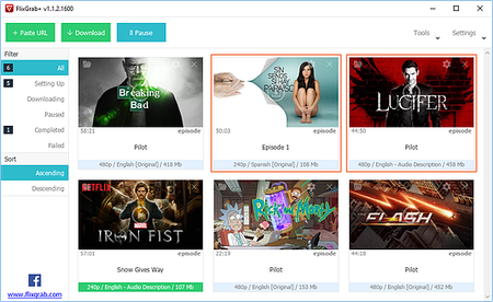 FlixGrab+ 1.6.10.826  Premium