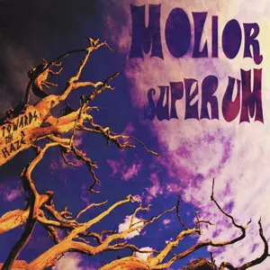 Molior Superum - Towards The Haze (2011)