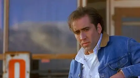 Red Rock West (Бар у дороги / На запад от Красной Скалы), 1992 [DVD9 or DVD-Rip] RESTORED
