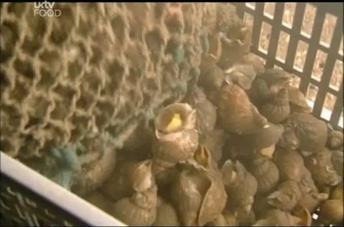 Seafood Lovers' Guide