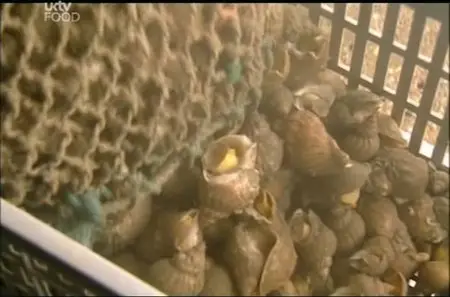 Seafood Lovers' Guide