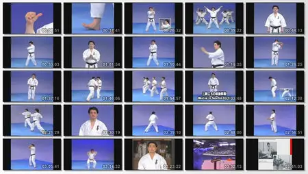 Kyokushin Karate Complete Video Series